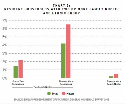 Diverse household composition infographic showing family nuclei and ethnic group data, highlighting family diversity.