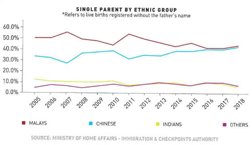 Single parent ethnicity data chart from RIMA project in 2018.