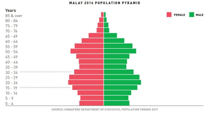 Population pyramid illustrating Malaysia 2016 demographic trends, age, and gender distribution for visual data analysis.