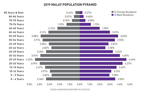 Diverse Malaysian Population Pyramid 2019 showing age groups and gender distribution.