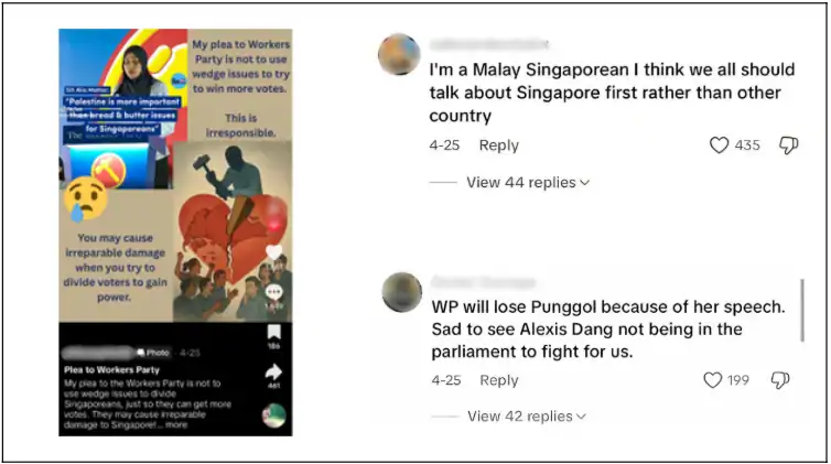Politicians protest Singapore policies, election issues, and voter division concerns in social media images.